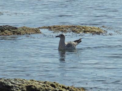 Прикрепленное изображение: DSCF6291.jpg